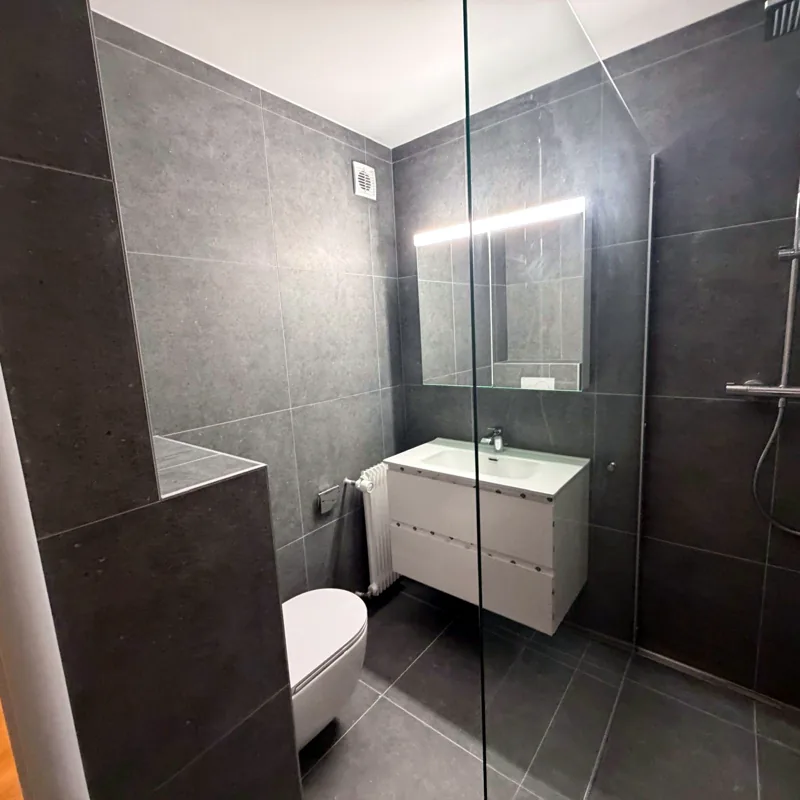 Meuble vasque suspendu, WC suspendu et miroir éclairé