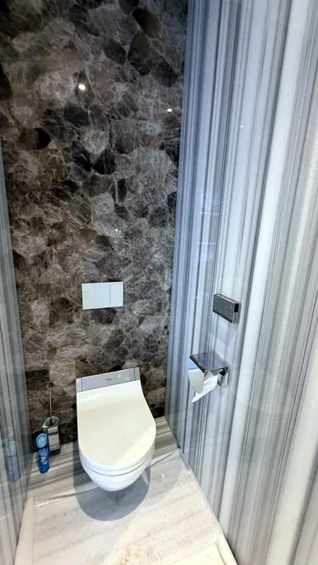 WC suspendu et mur en pierre