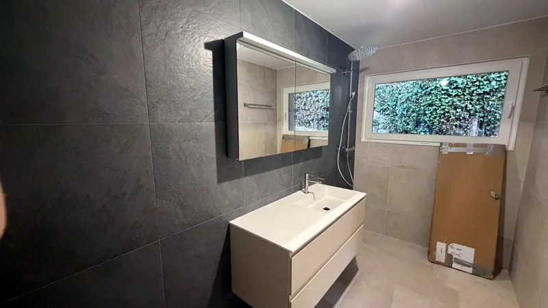 Salle de bain aux murs sombres